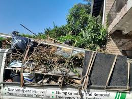 Best Foreclosure Cleanout  in Hallsville, TX